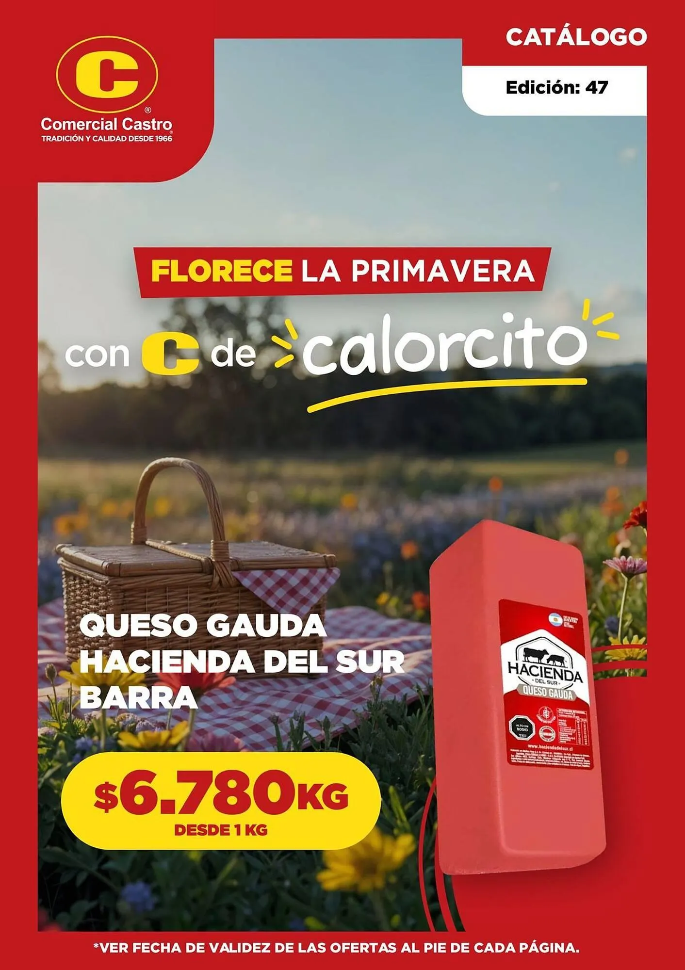 Catálogo de Catálogo Comercial Castro 14 de noviembre al 19 de noviembre 2025 - Página 1