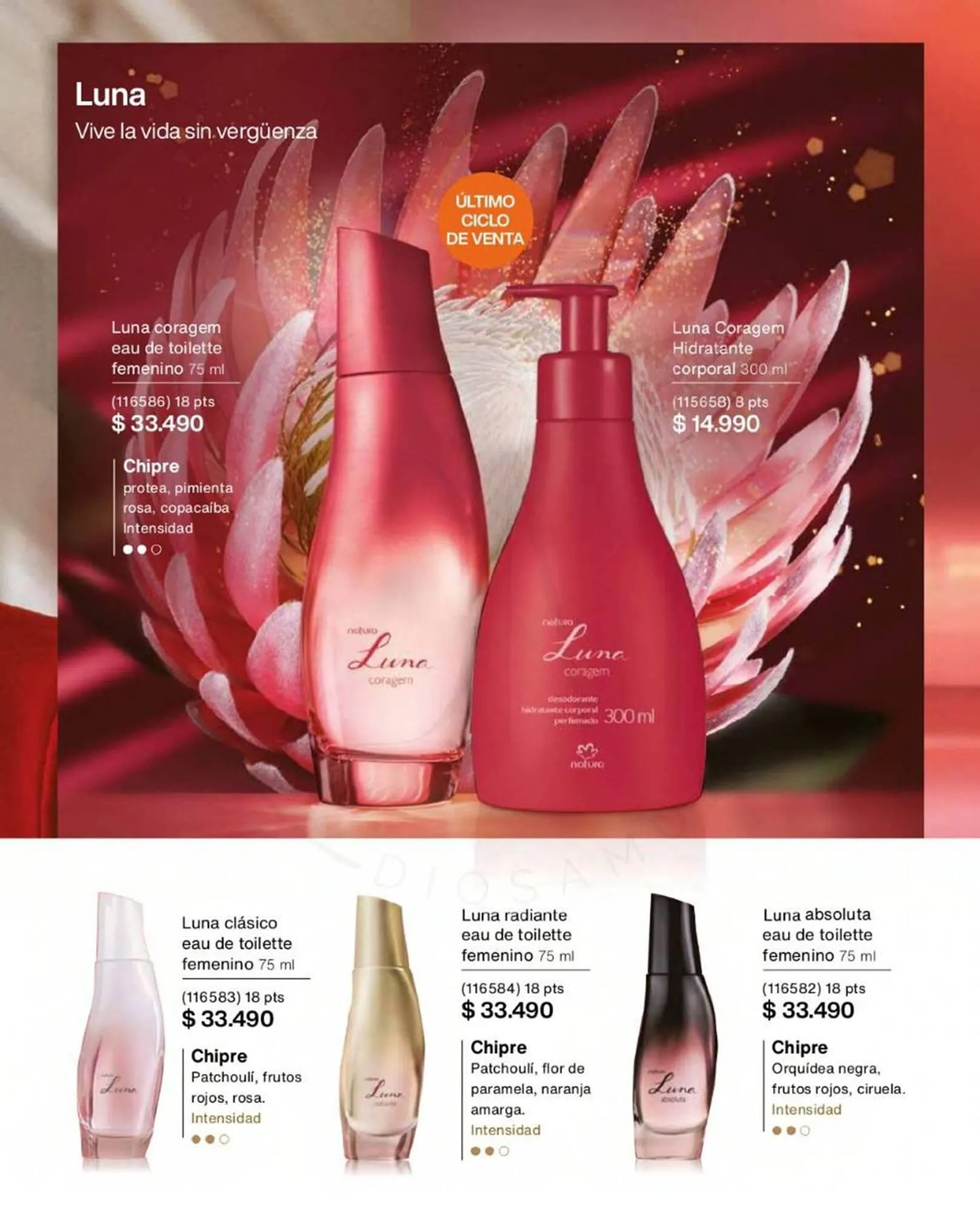 Catálogo de Catálogo Natura 1 de enero al 20 de enero 2024 - Página 14