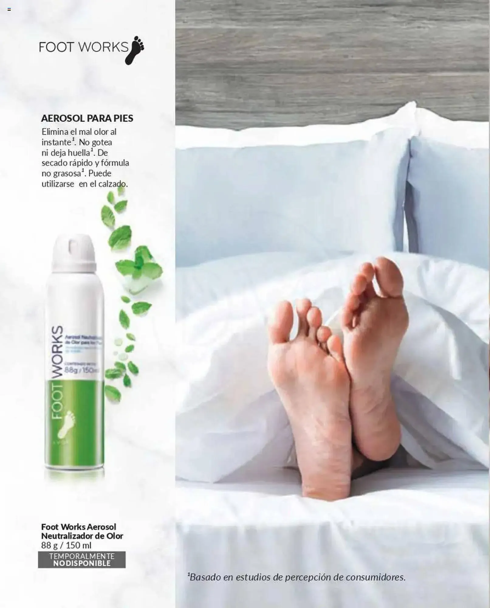 Catálogo de Catálogo Avon 1 de marzo al 16 de marzo 2025 - Página 262