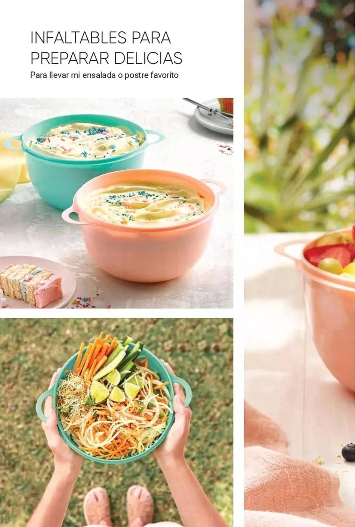 Catálogo de Catálogo Avon 12 de junio al 31 de agosto 2025 - Página 81