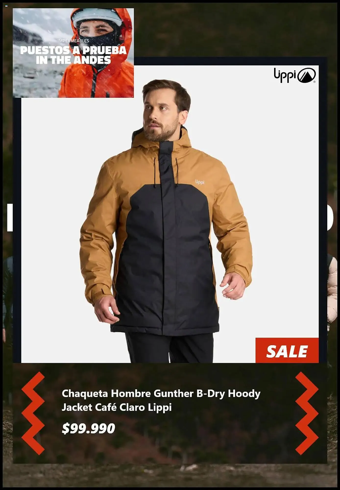 Catálogo de Catálogo Lippi 16 de junio al 15 de julio 2025 - Página 3