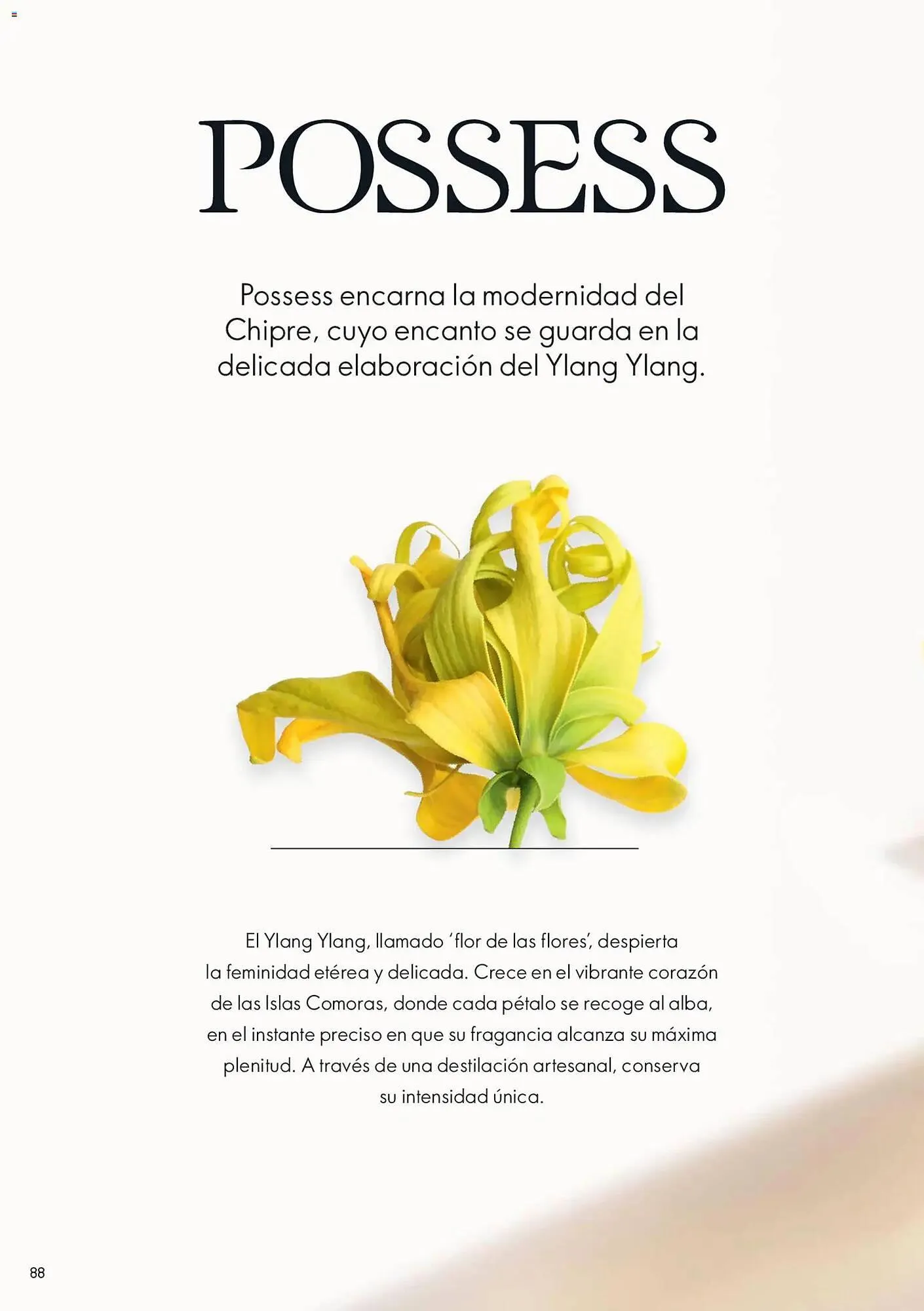 Catálogo de Catálogo Oriflame 14 de febrero al 6 de marzo 2026 - Página 88