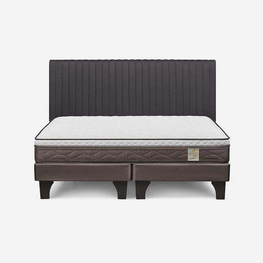 Cama New Style 4 Plus King + Respaldo Lucio