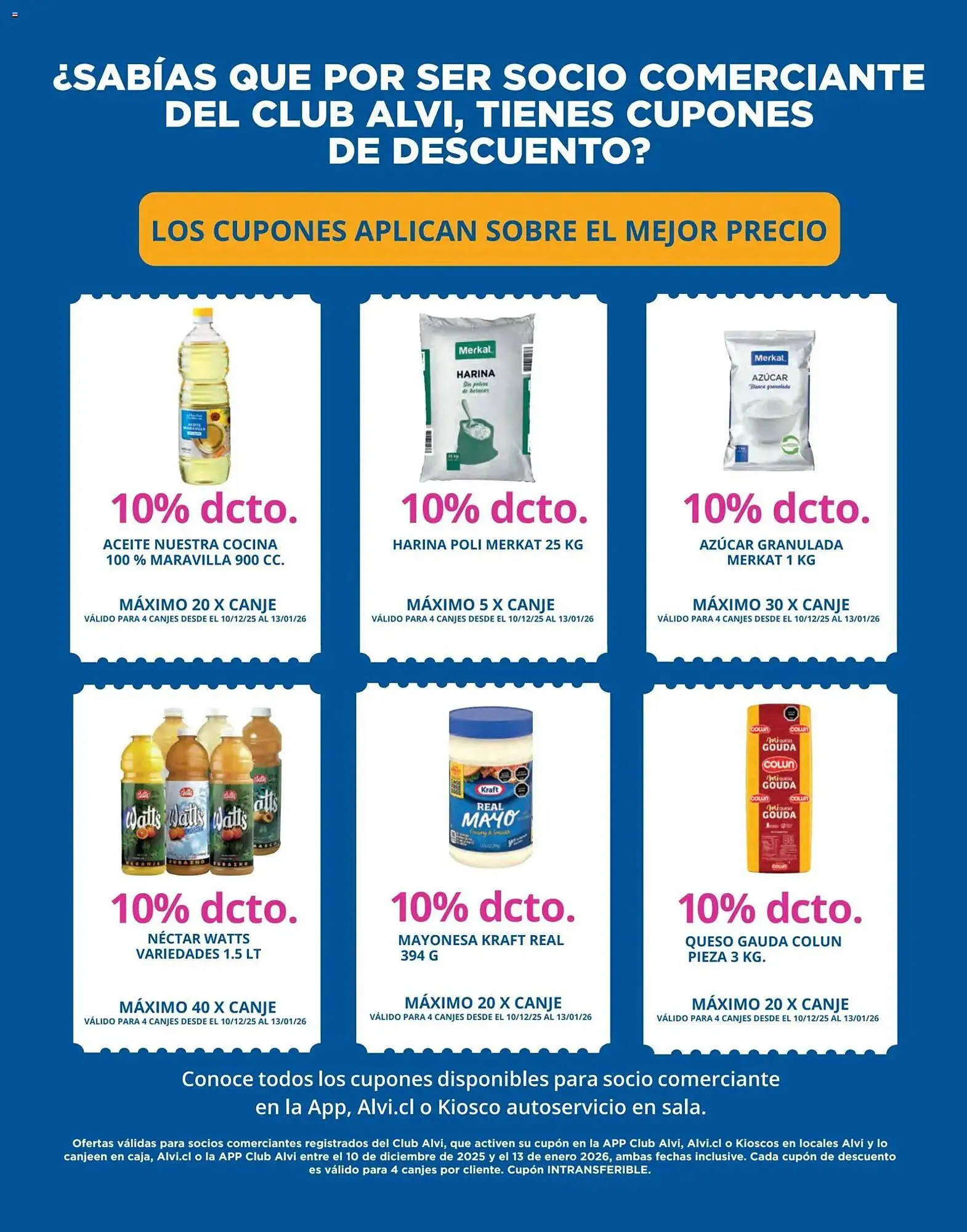 Catálogo de Catálogo Alvi 10 de diciembre al 13 de enero 2026 - Página 13