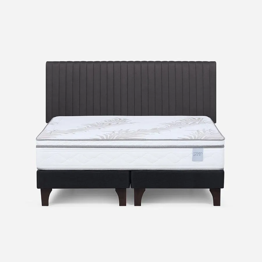 Cama Neo Plus King + Respaldo Lucio
