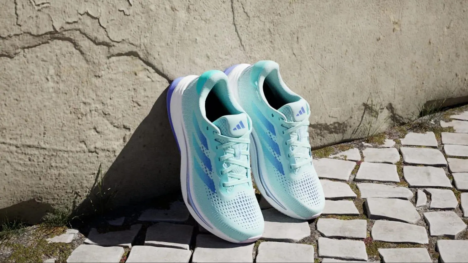 Zapatillas de Running Supernova Rise