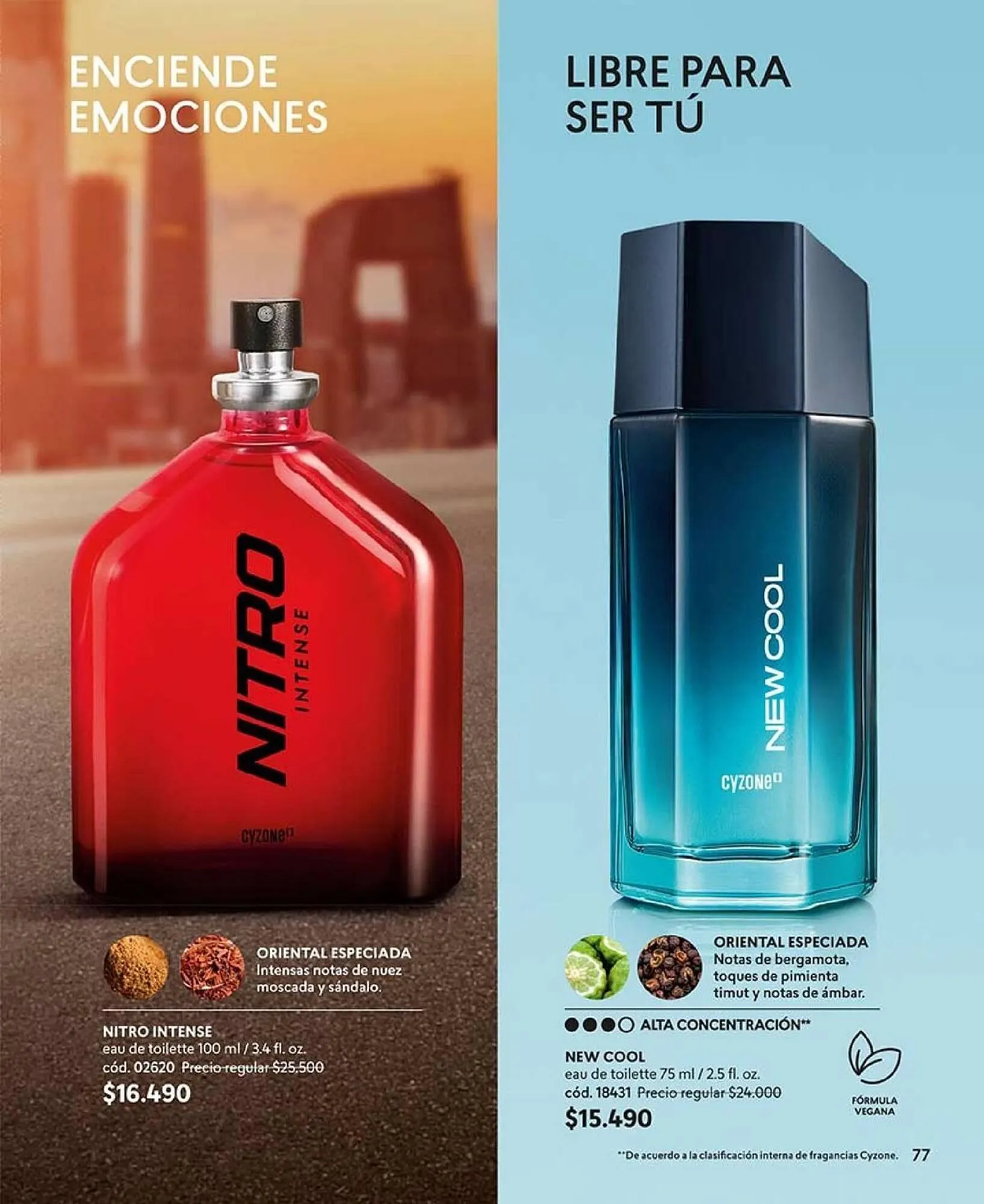 Catálogo de Catálogo Cyzone 17 de diciembre al 31 de diciembre 2024 - Página 75