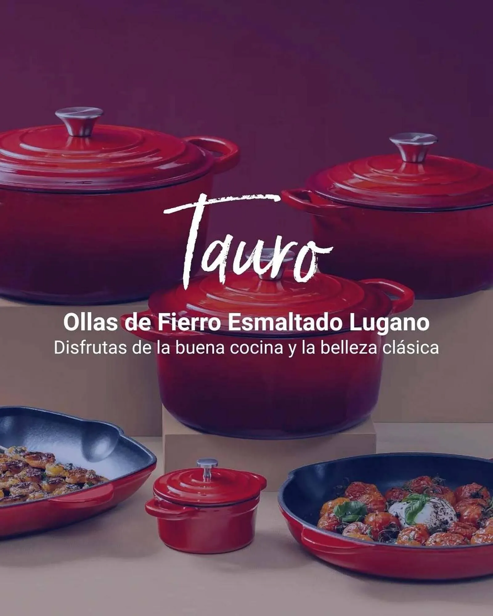 Catálogo de Catálogo El Volcan 7 de febrero al 7 de febrero 2026 - Página 2