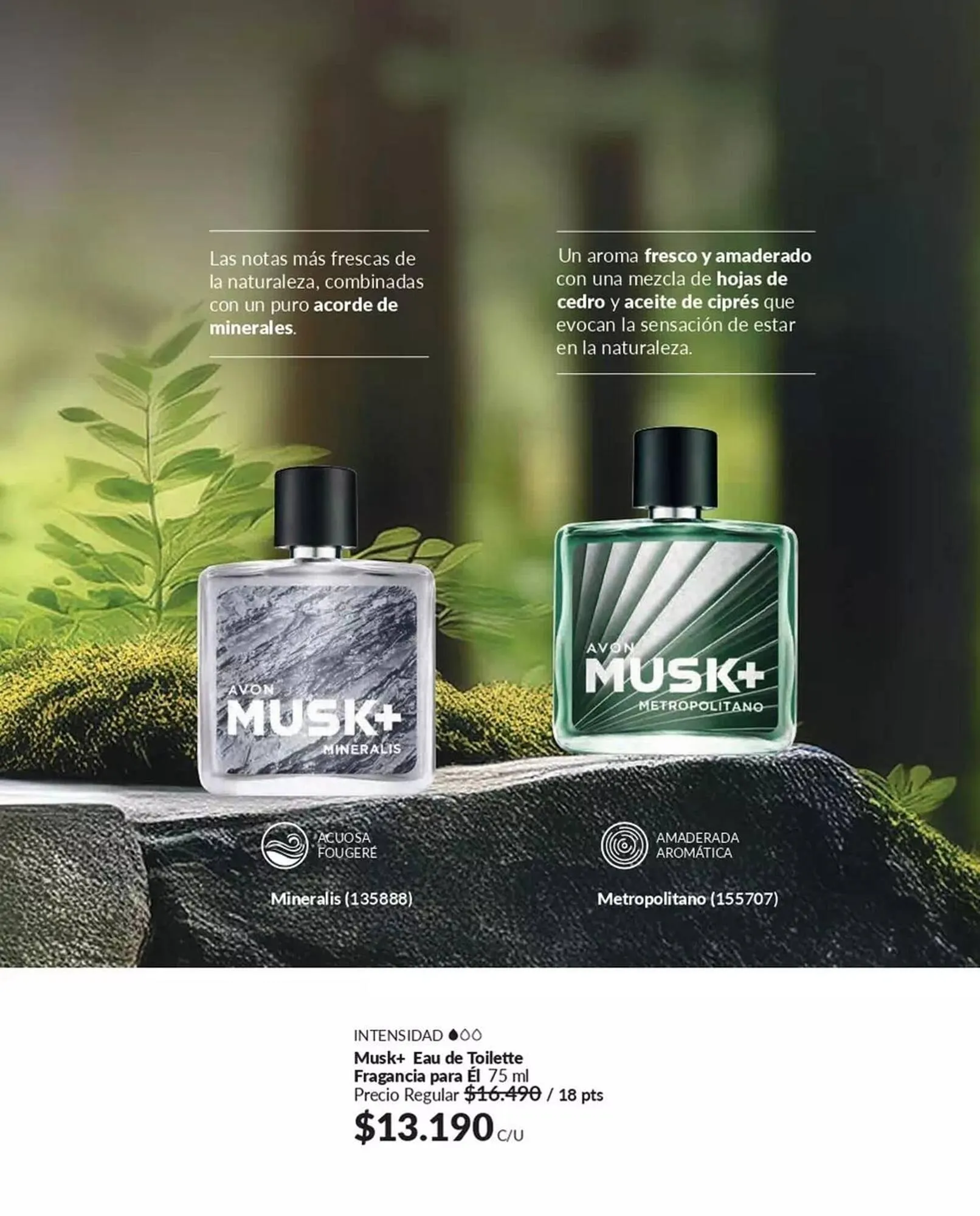 Catálogo de Catálogo Avon 25 de marzo al 31 de marzo 2025 - Página 69