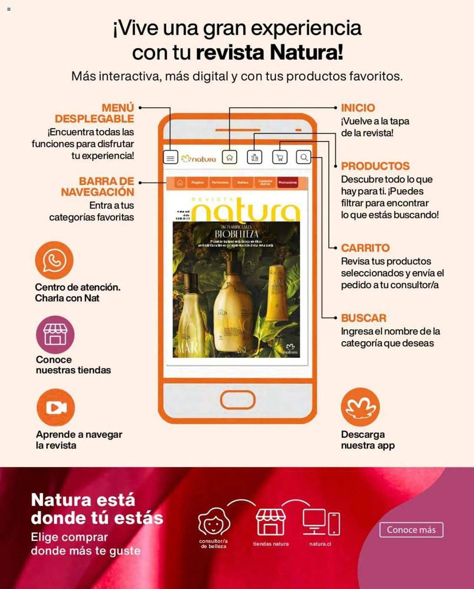 Catálogo de Catálogo Natura 1 de julio al 31 de octubre 2023 - Página 6