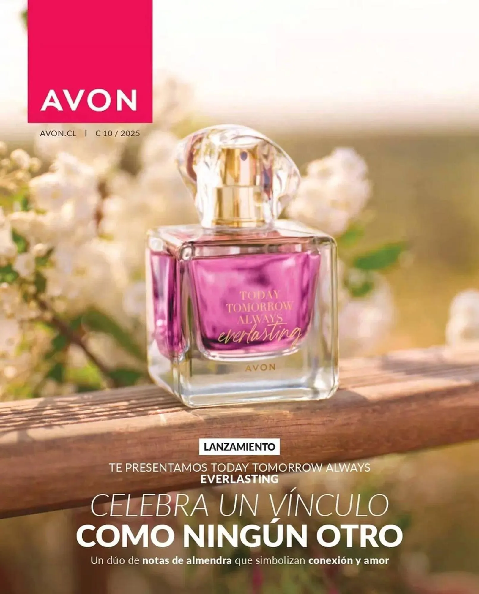 Catálogo Avon - 1