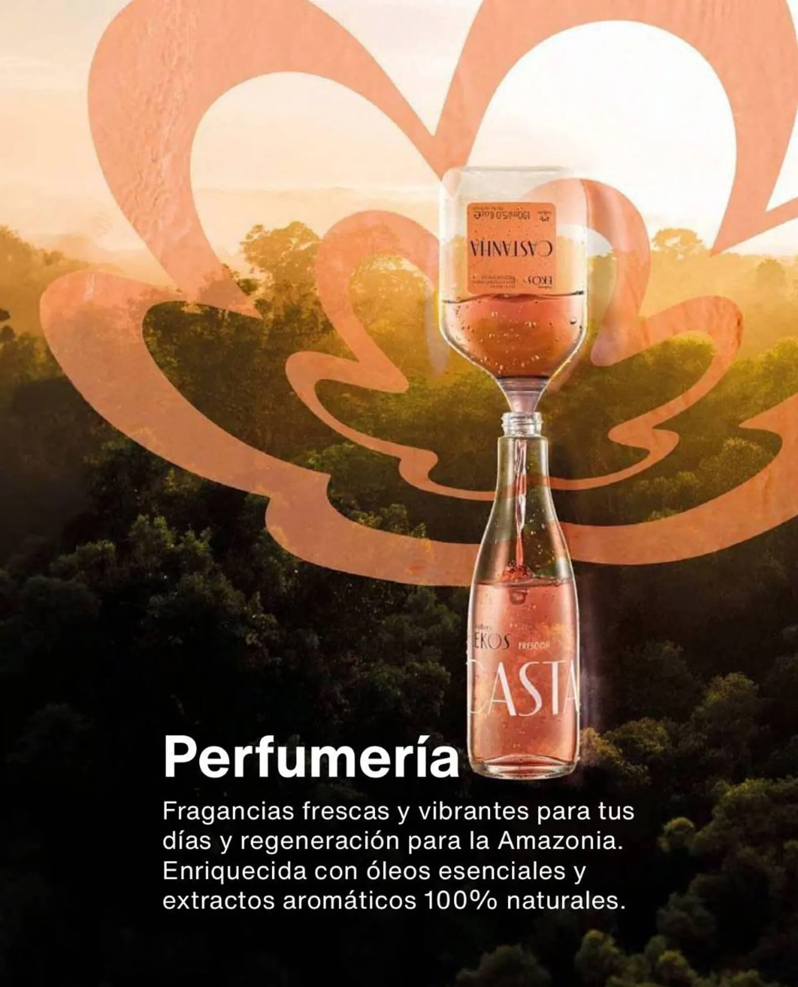 Catálogo de Catálogo Natura 1 de enero al 20 de enero 2024 - Página 11