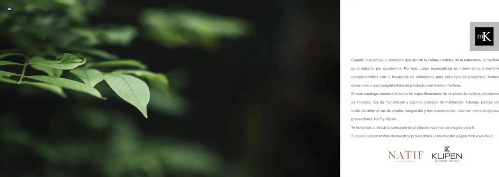 Catálogo de Catálogo Mk 22 de julio al 1 de enero 2026 - Página 2