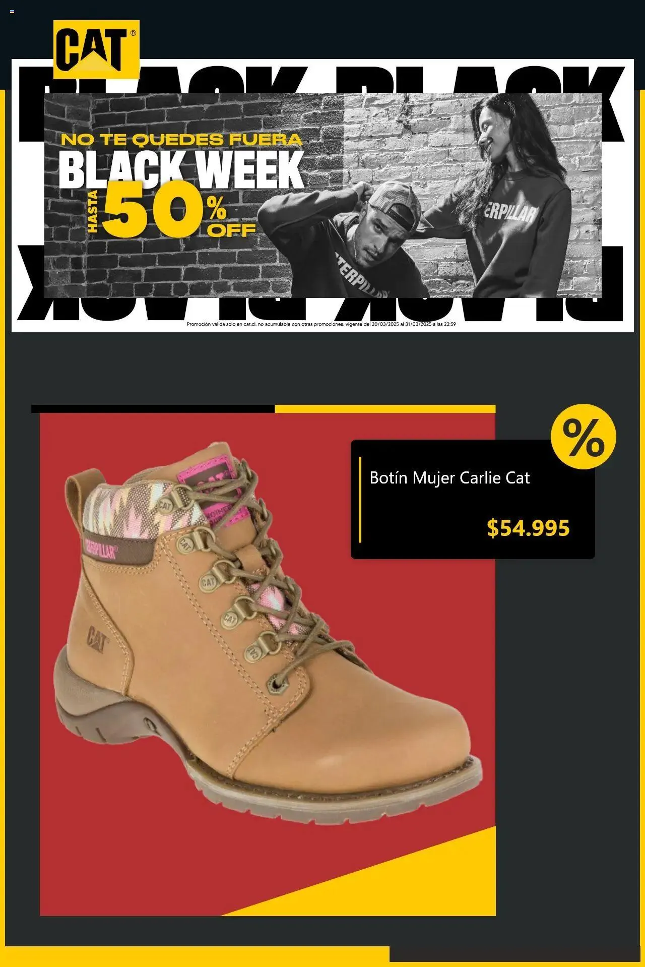 Catálogo de CAT ofertas  25 de marzo al 31 de marzo 2025 - Página 4