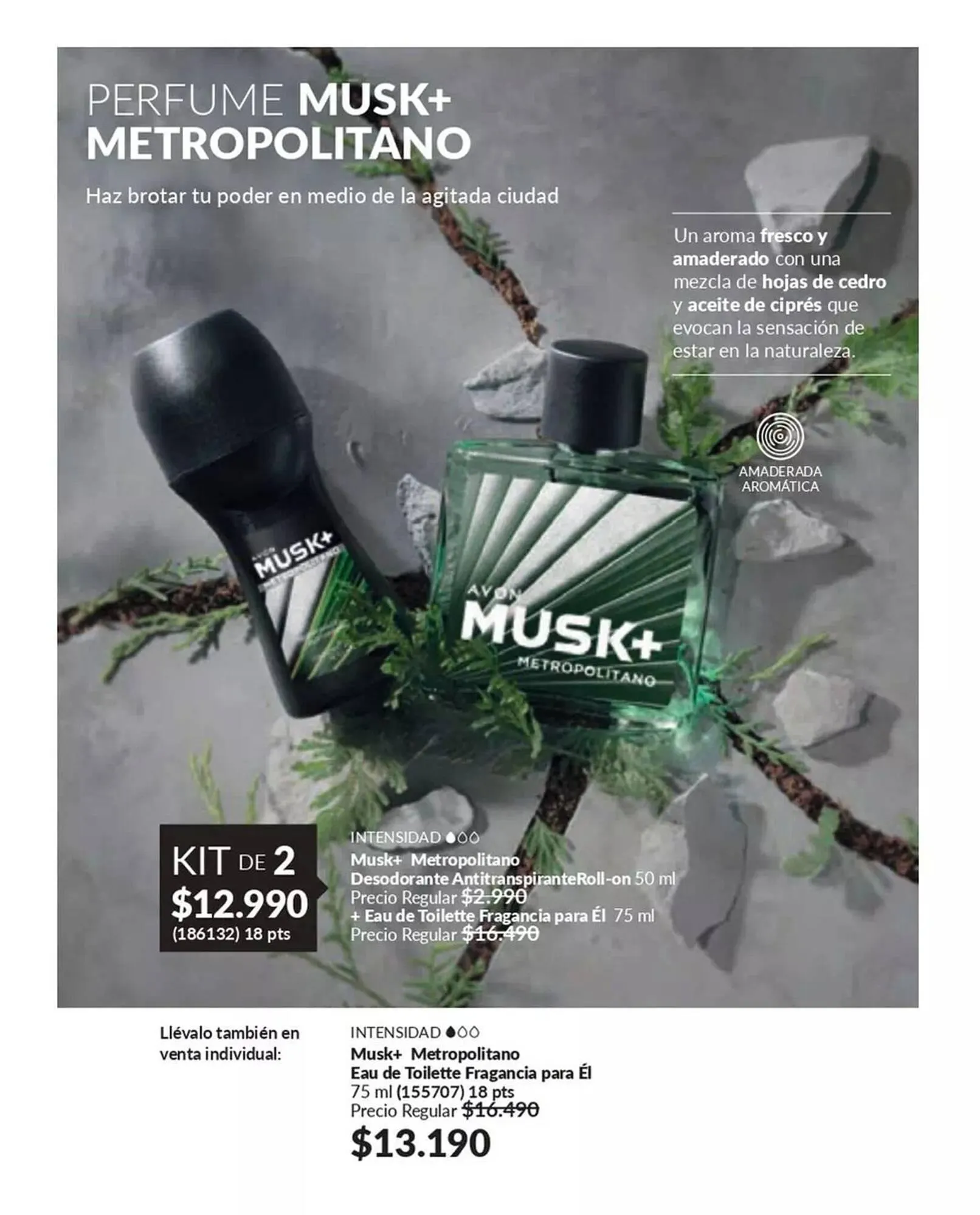 Catálogo de Catálogo Avon 25 de marzo al 6 de mayo 2025 - Página 67