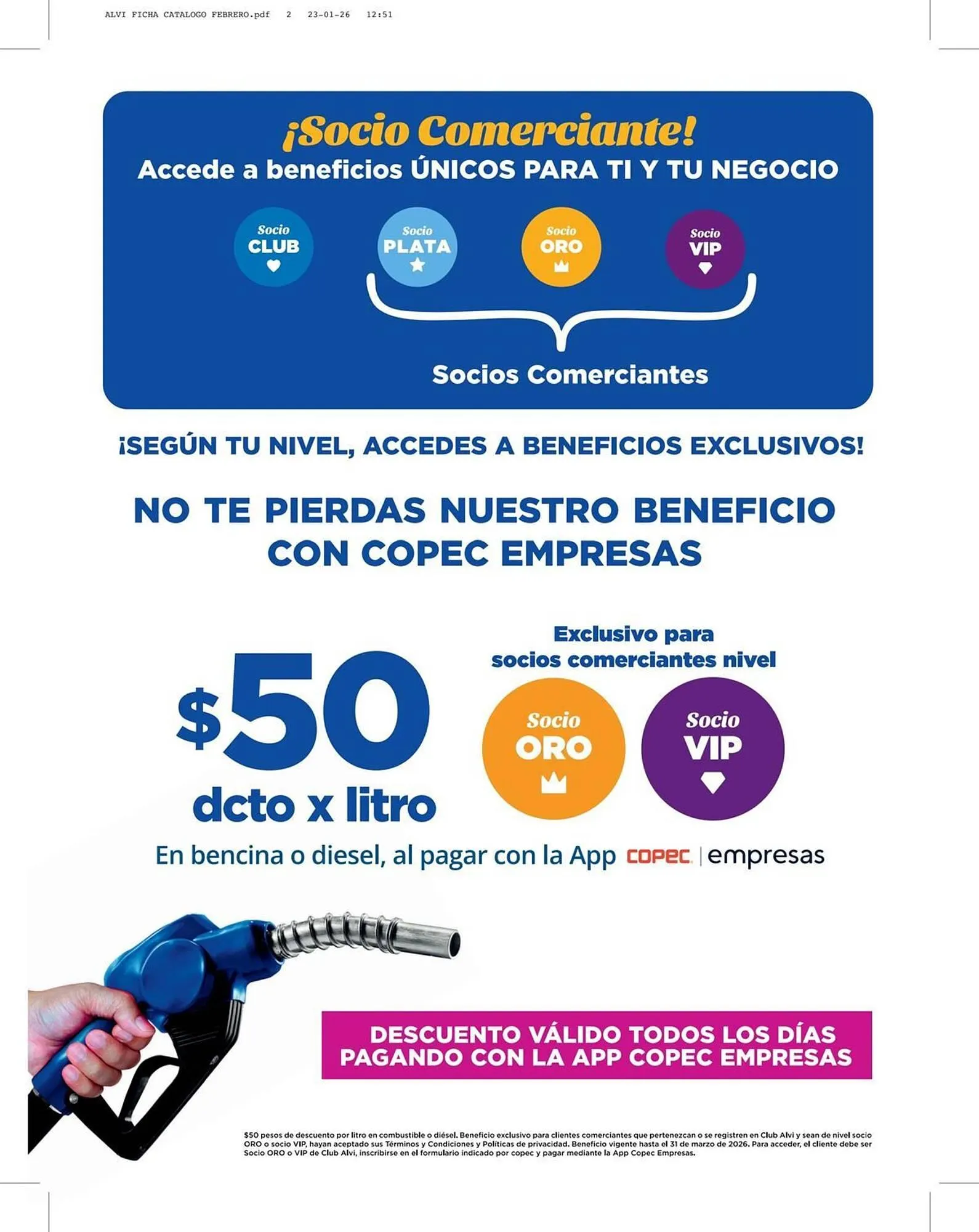 Catálogo de Catálogo Alvi 11 de febrero al 24 de marzo 2026 - Página 11