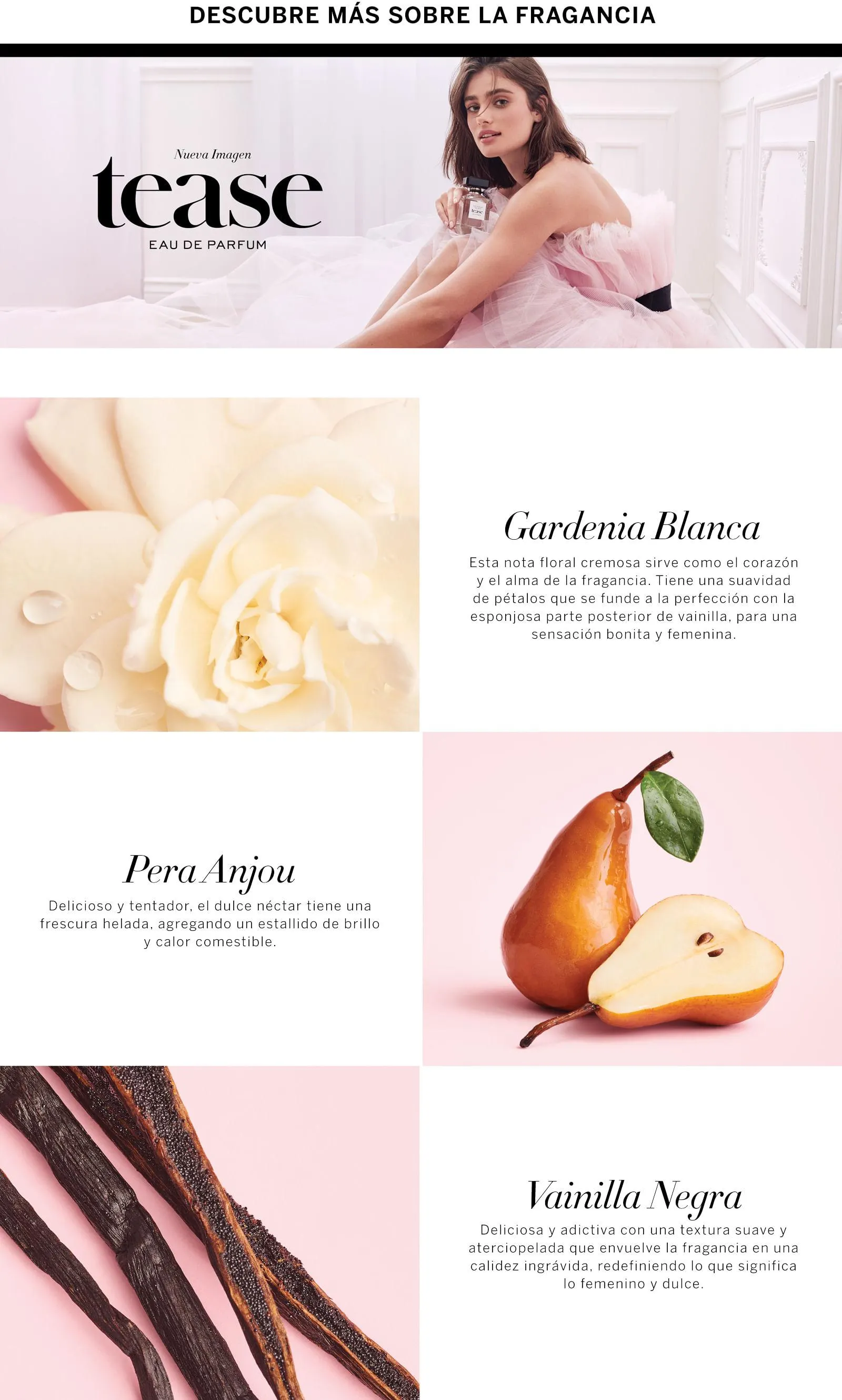 Mist Corporal Tease Candy Noir