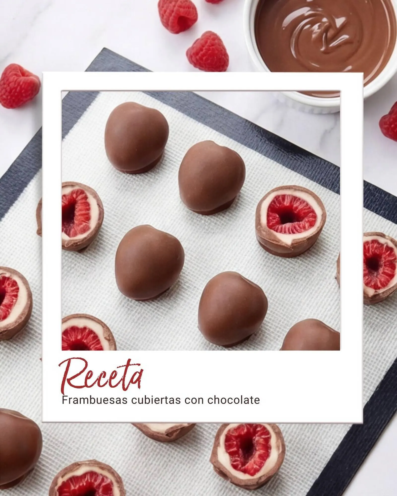 Catálogo El Volcan - 1