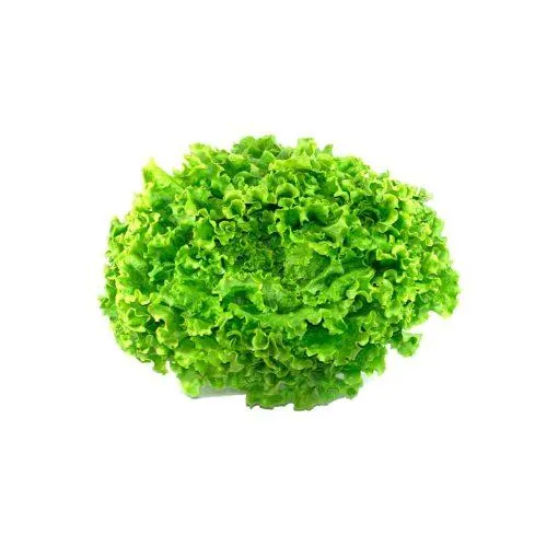 Lechuga Marina Unidad