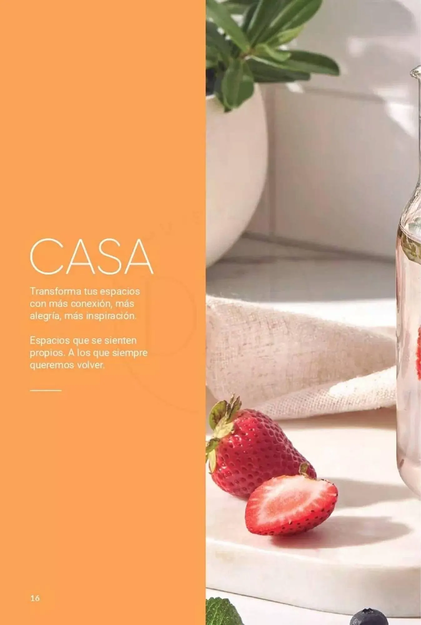 Catálogo de Catálogo Avon 27 de marzo al 31 de marzo 2025 - Página 14