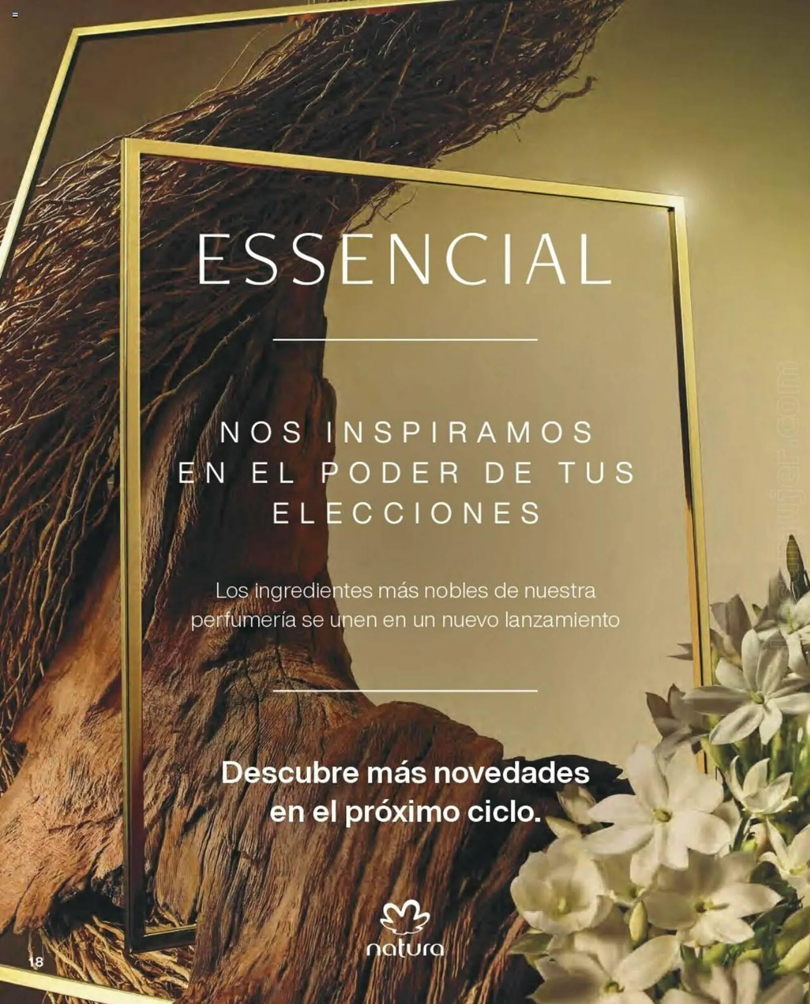 Catálogo de Catálogo Natura 1 de julio al 31 de octubre 2023 - Página 18