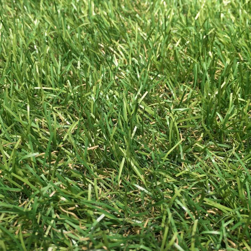 Pasto Sintético en Rollo Grass Celery 10x1 m (30 mm)