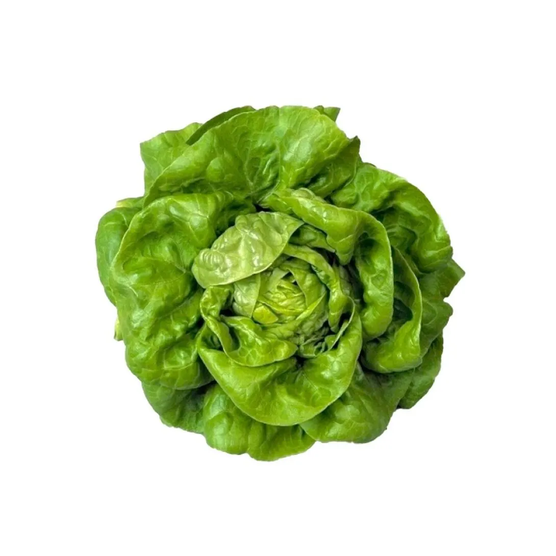 Lechuga Milanesa Unidad.