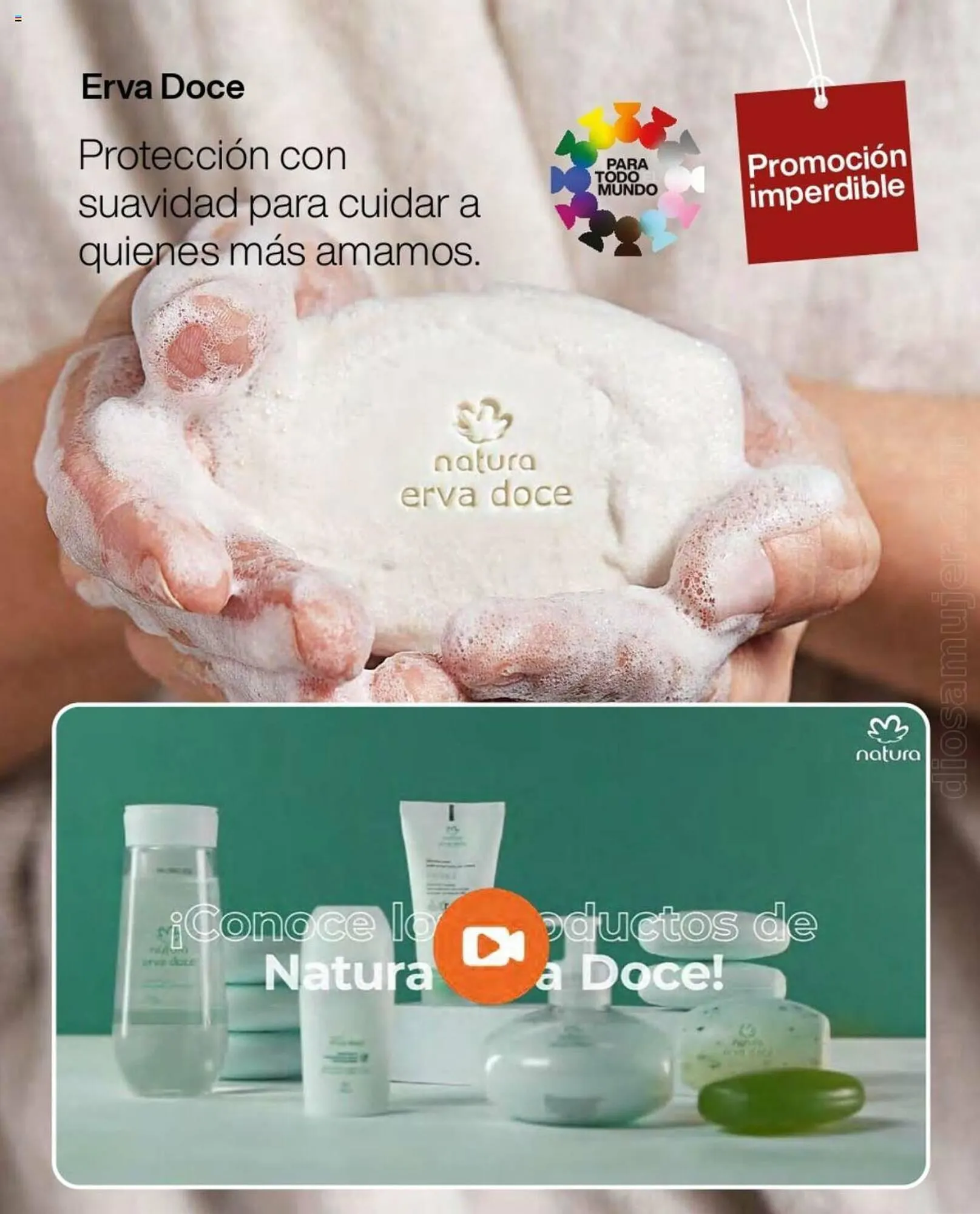 Catálogo de Catálogo Natura 1 de julio al 31 de octubre 2023 - Página 4