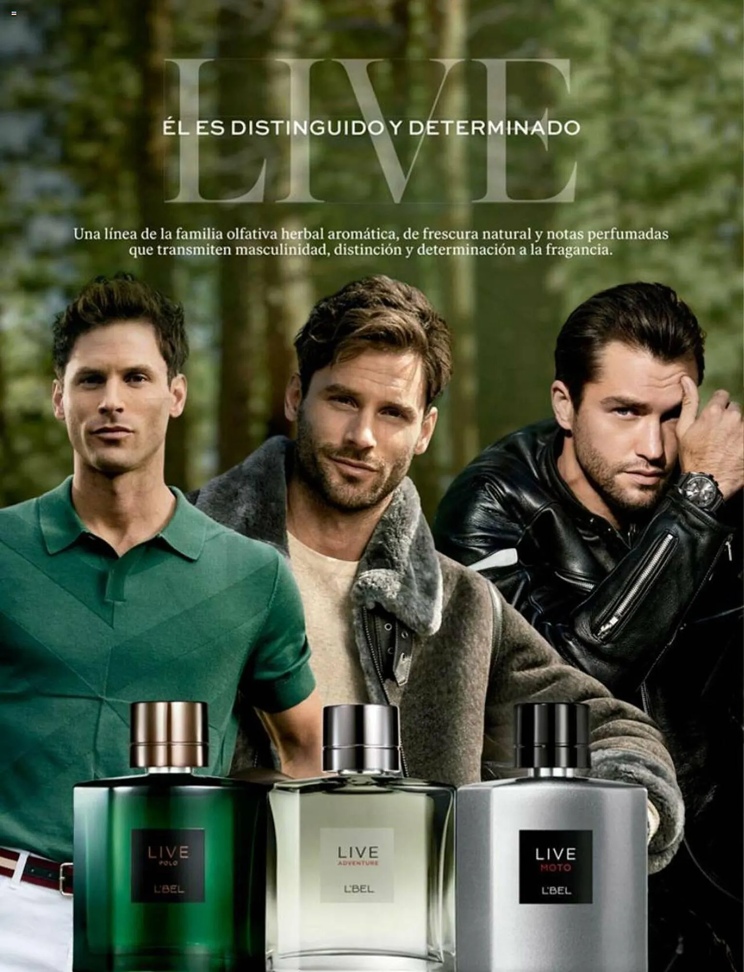 Catálogo de Catálogo L'Bel 1 de agosto al 31 de agosto 2023 - Página 86