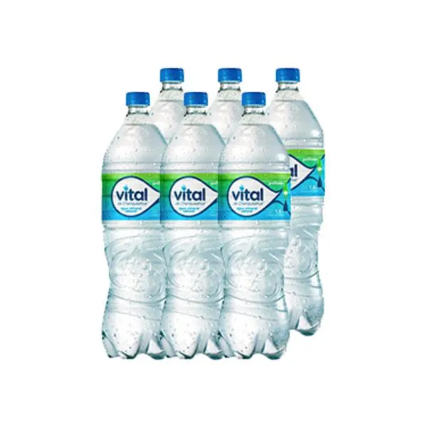 Agua Mineral Vital Con Gas Botella 1.6 Lts x6 | Liquidos.cl
