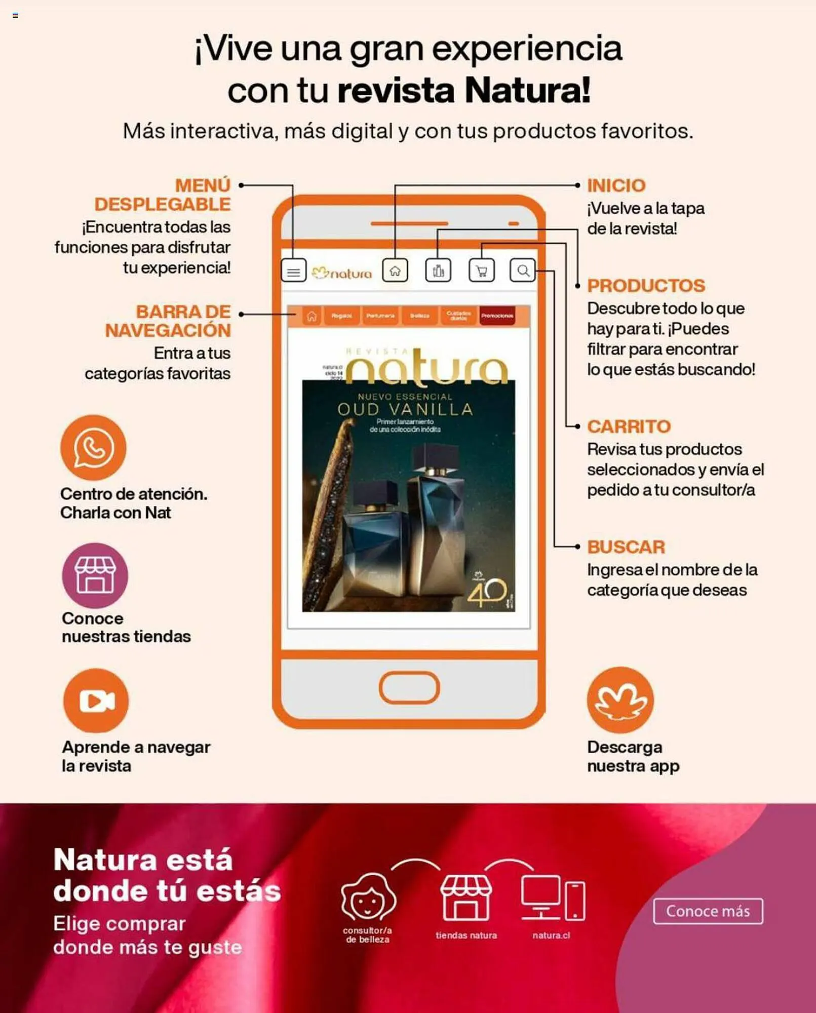 Catálogo de Catálogo Natura 1 de septiembre al 30 de septiembre 2023 - Página 6