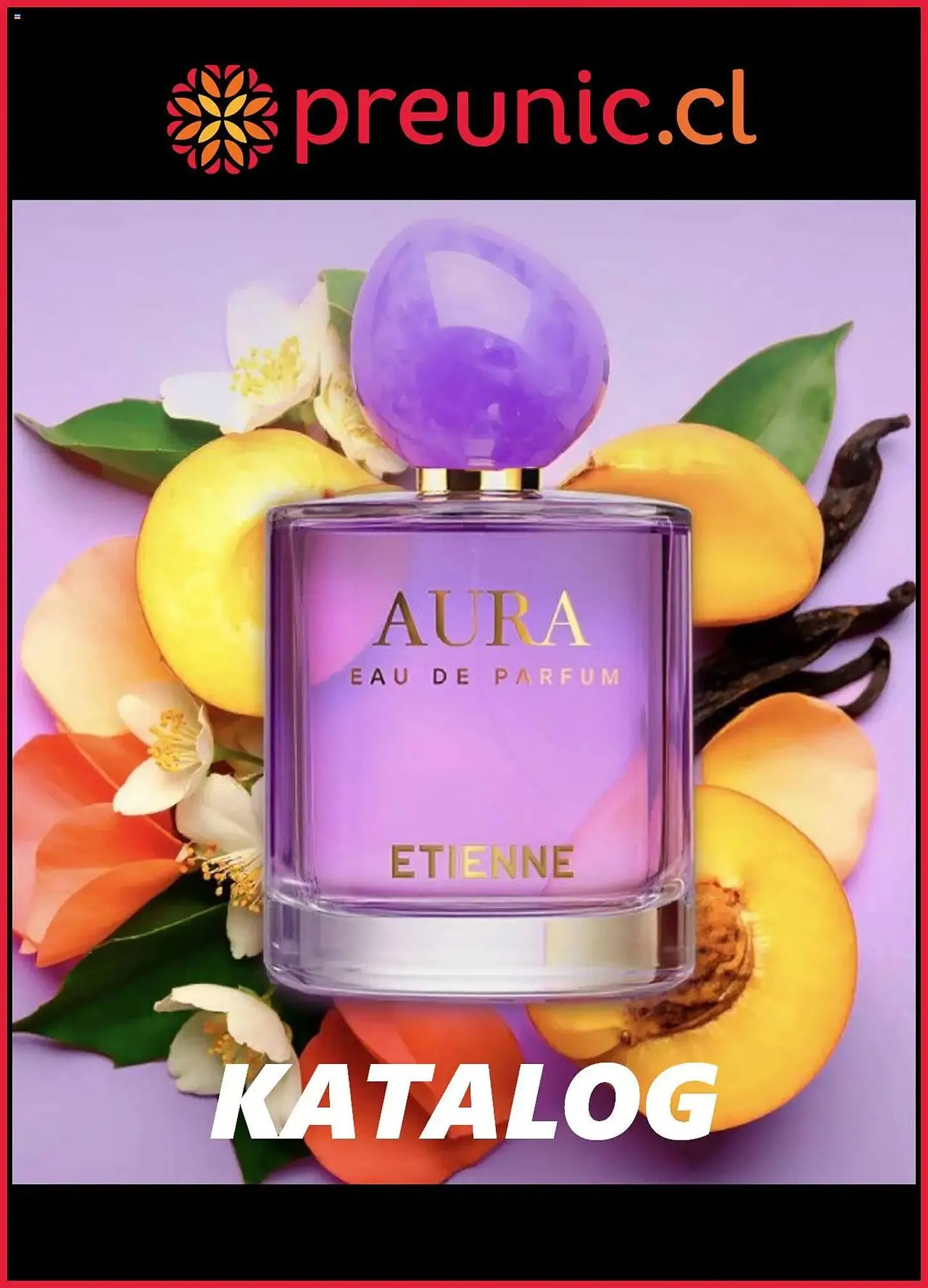 Catálogo Preunic - 1