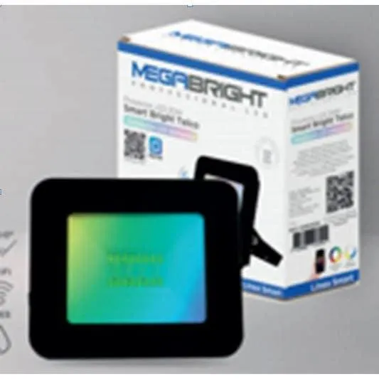 MEGABRIGHT PROYECTOR SMART FLAT 20W