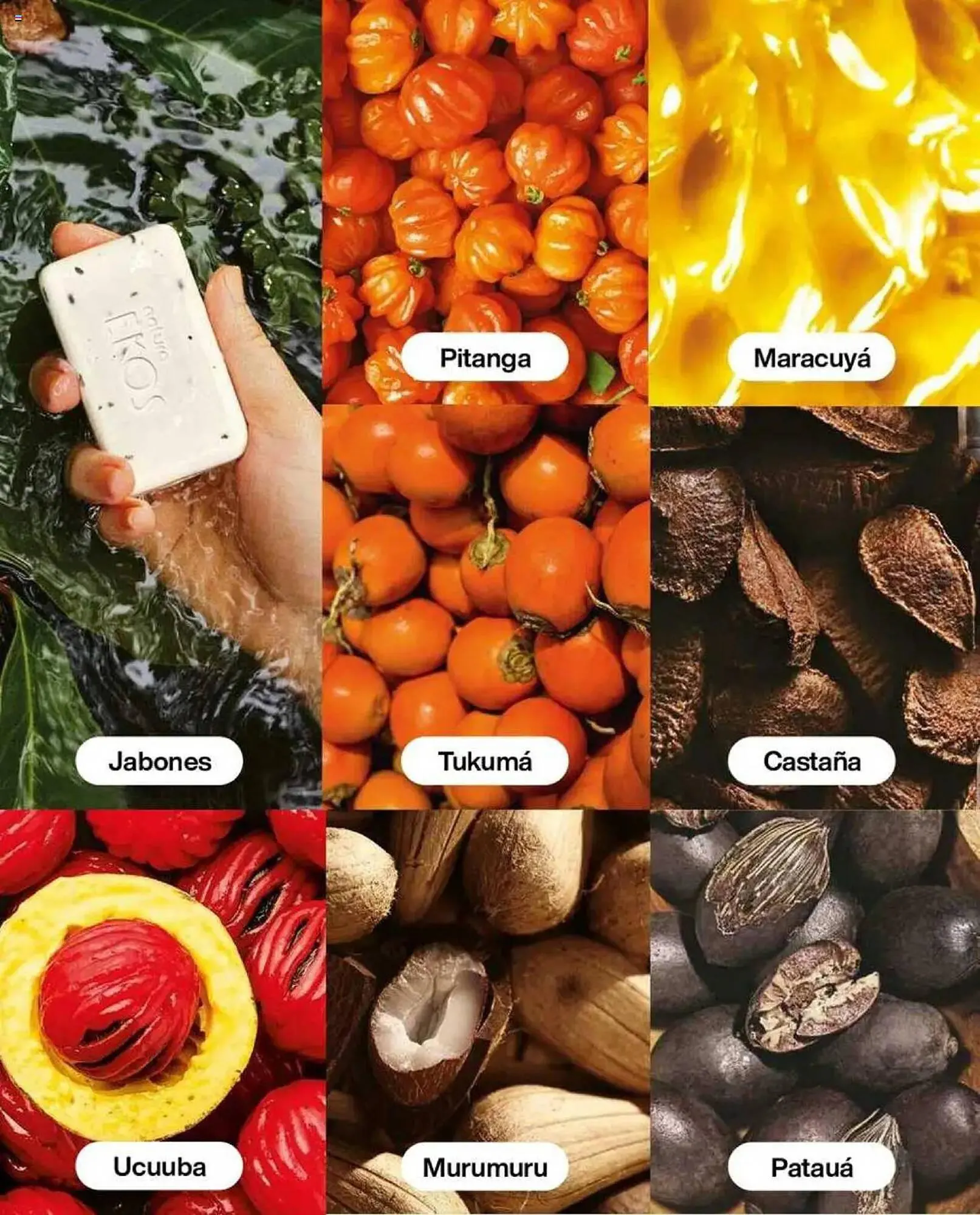 Catálogo de Catálogo Natura 20 de febrero al 31 de marzo 2025 - Página 134