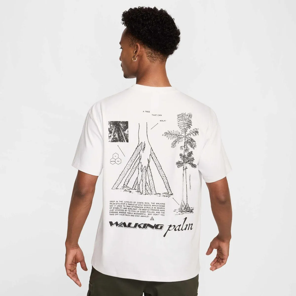 M ACG DF TEE OC WALK TREE