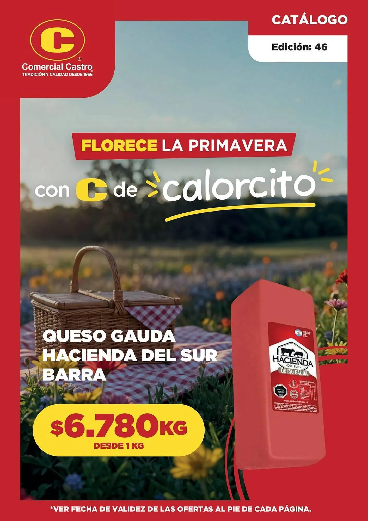 Catálogo Comercial Castro - 1