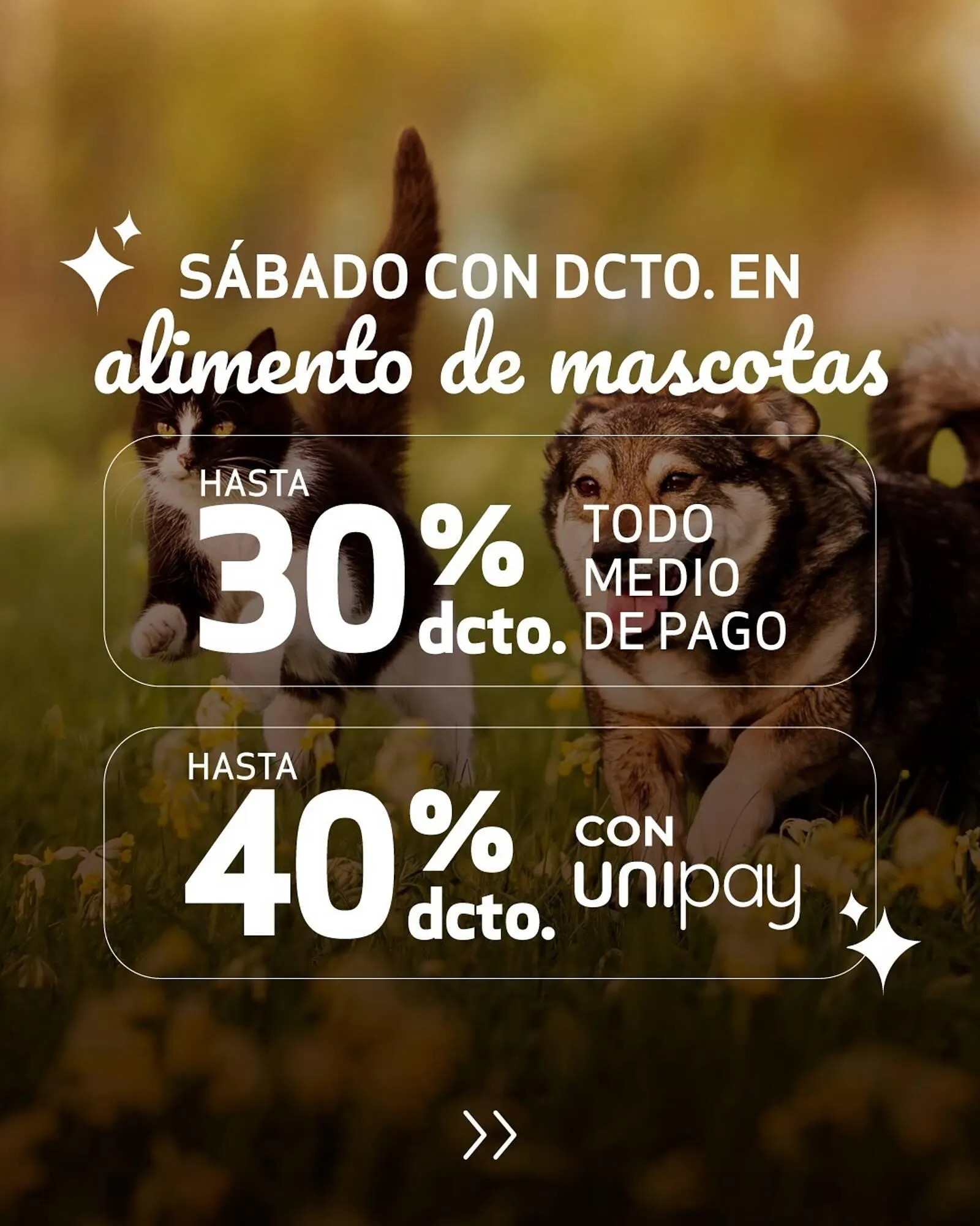 Catálogo de Catálogo Unimarc 4 de noviembre al 4 de noviembre 2025 - Página 5