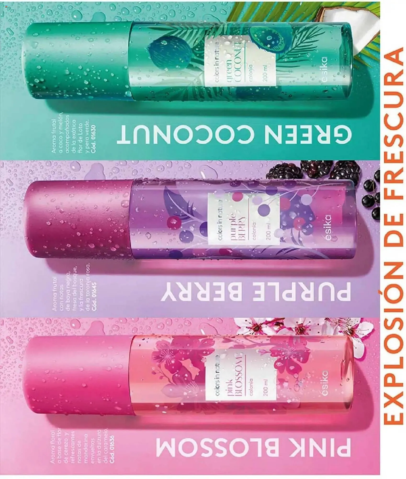 Catálogo de Catálogo Ésika 6 de enero al 16 de febrero 2026 - Página 35