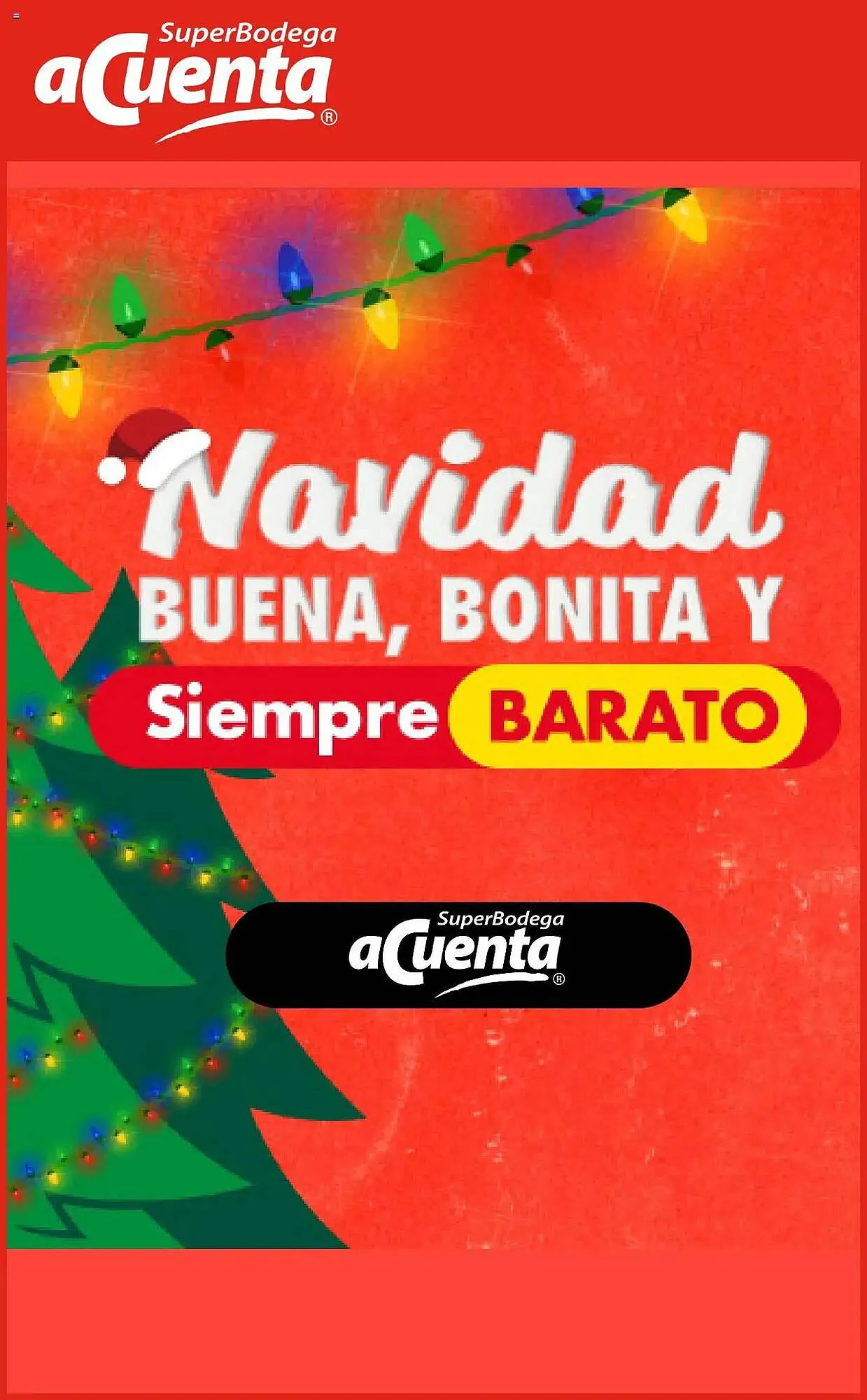 Catálogo Super Bodega a Cuenta - 1