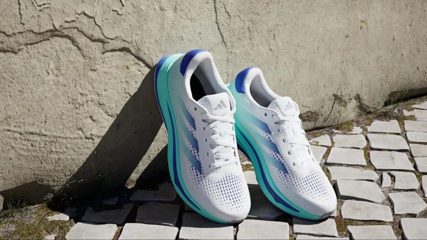 Zapatillas de Running Supernova Rise