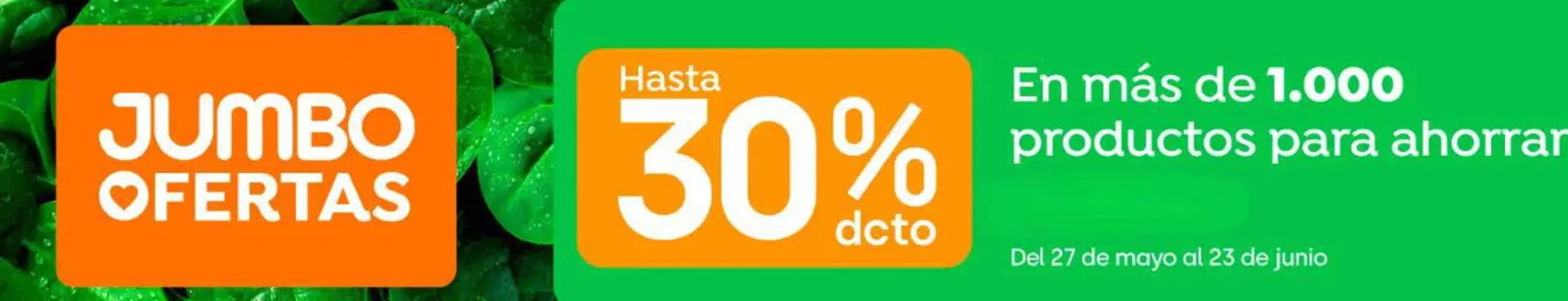 Catálogo Jumbo - 1