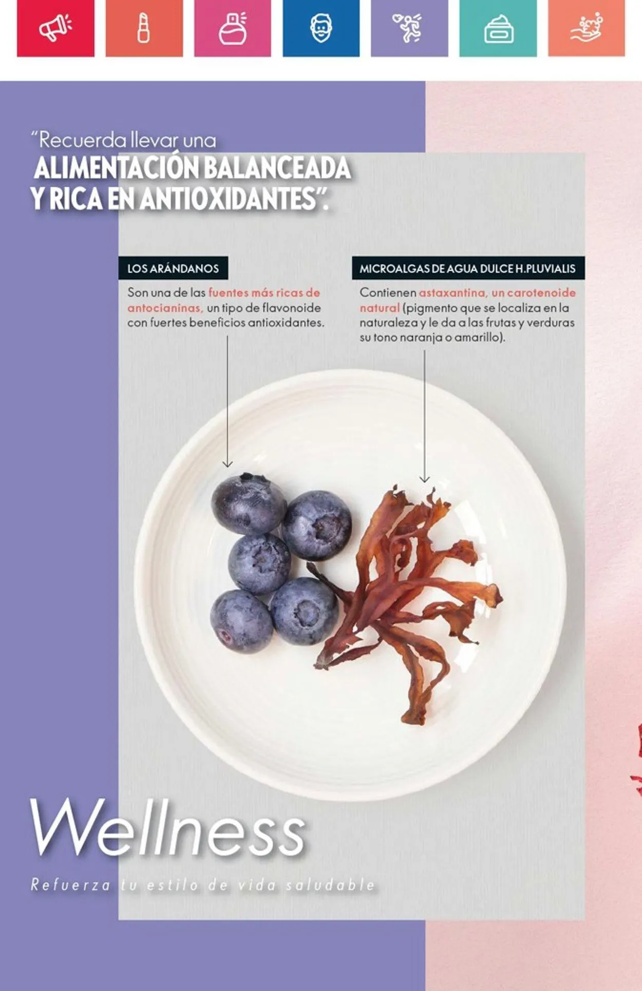 Catálogo de Oriflame 17 de agosto al 6 de septiembre 2024 - Página 102