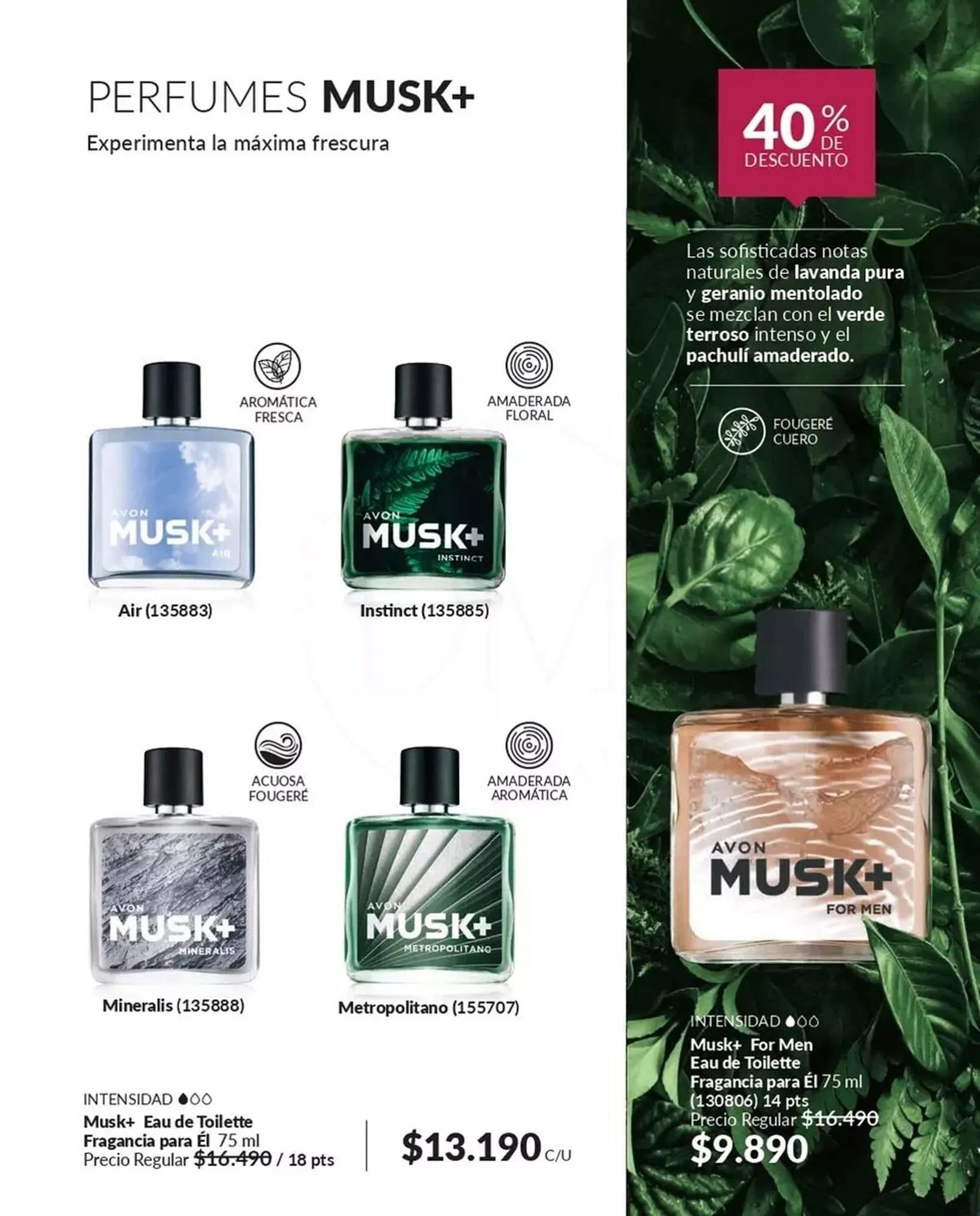 Catálogo de Catálogo Avon 25 de marzo al 31 de marzo 2025 - Página 72