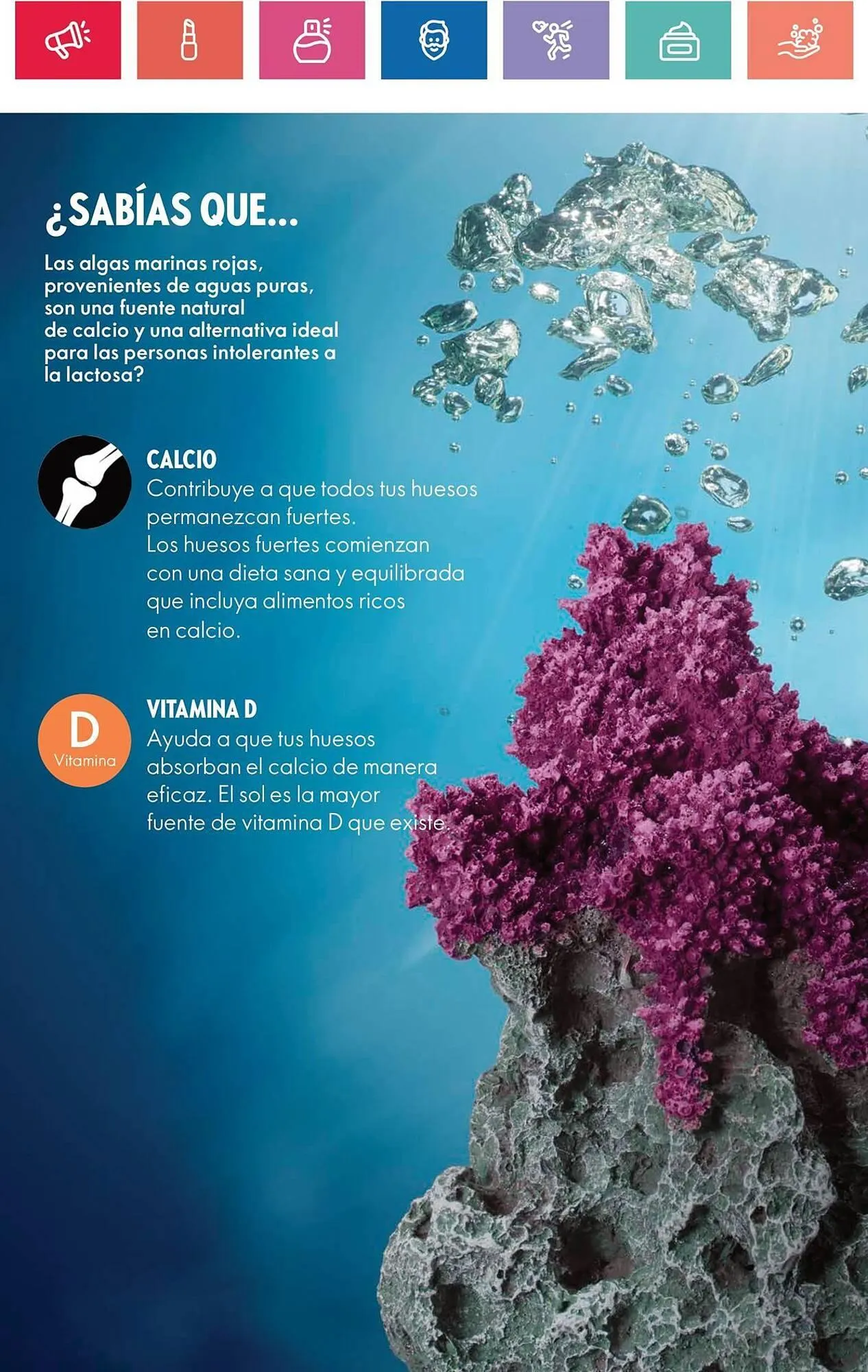 Catálogo de Catálogo Oriflame 30 de enero al 13 de febrero 2025 - Página 82