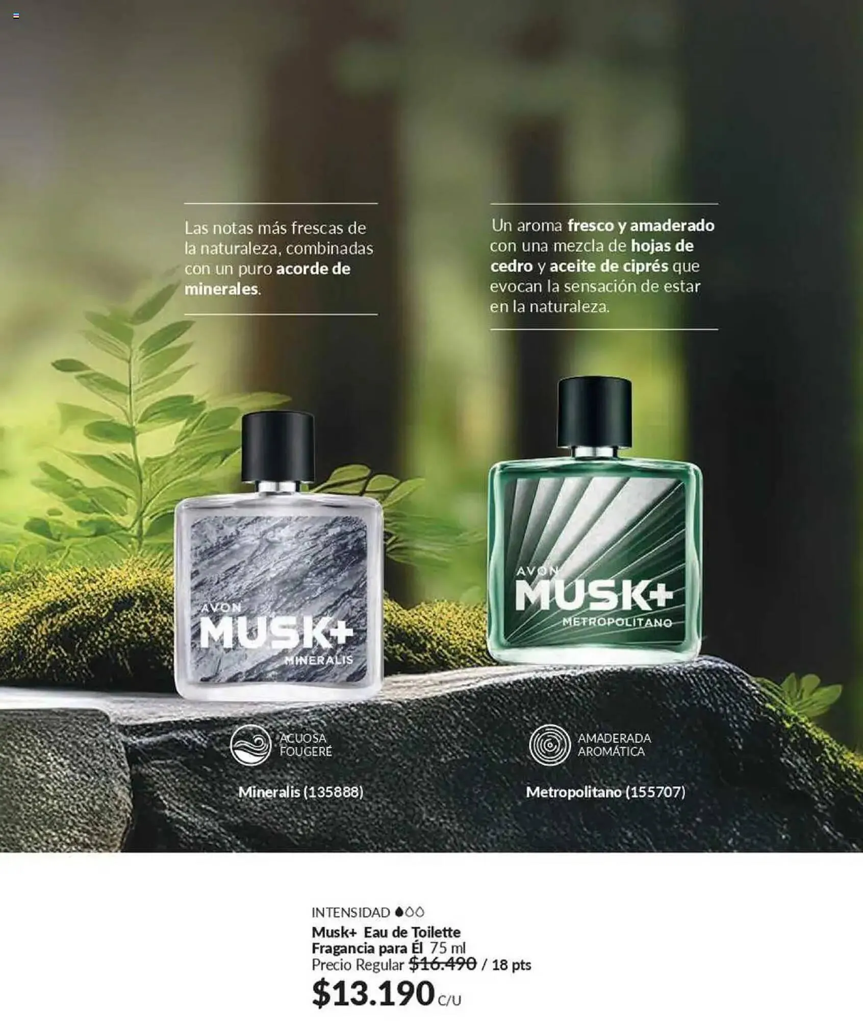 Catálogo de Catálogo Avon 1 de febrero al 15 de febrero 2025 - Página 69