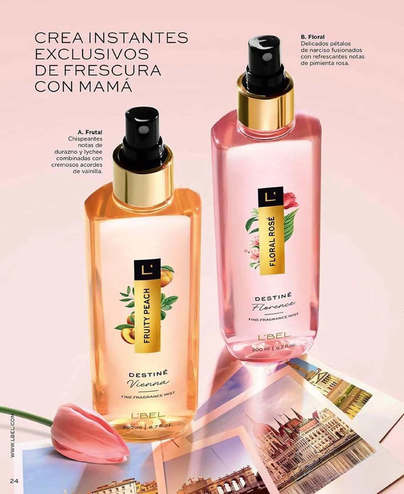 Catálogo de Catálogo L'Bel 25 de marzo al 31 de mayo 2025 - Página 24