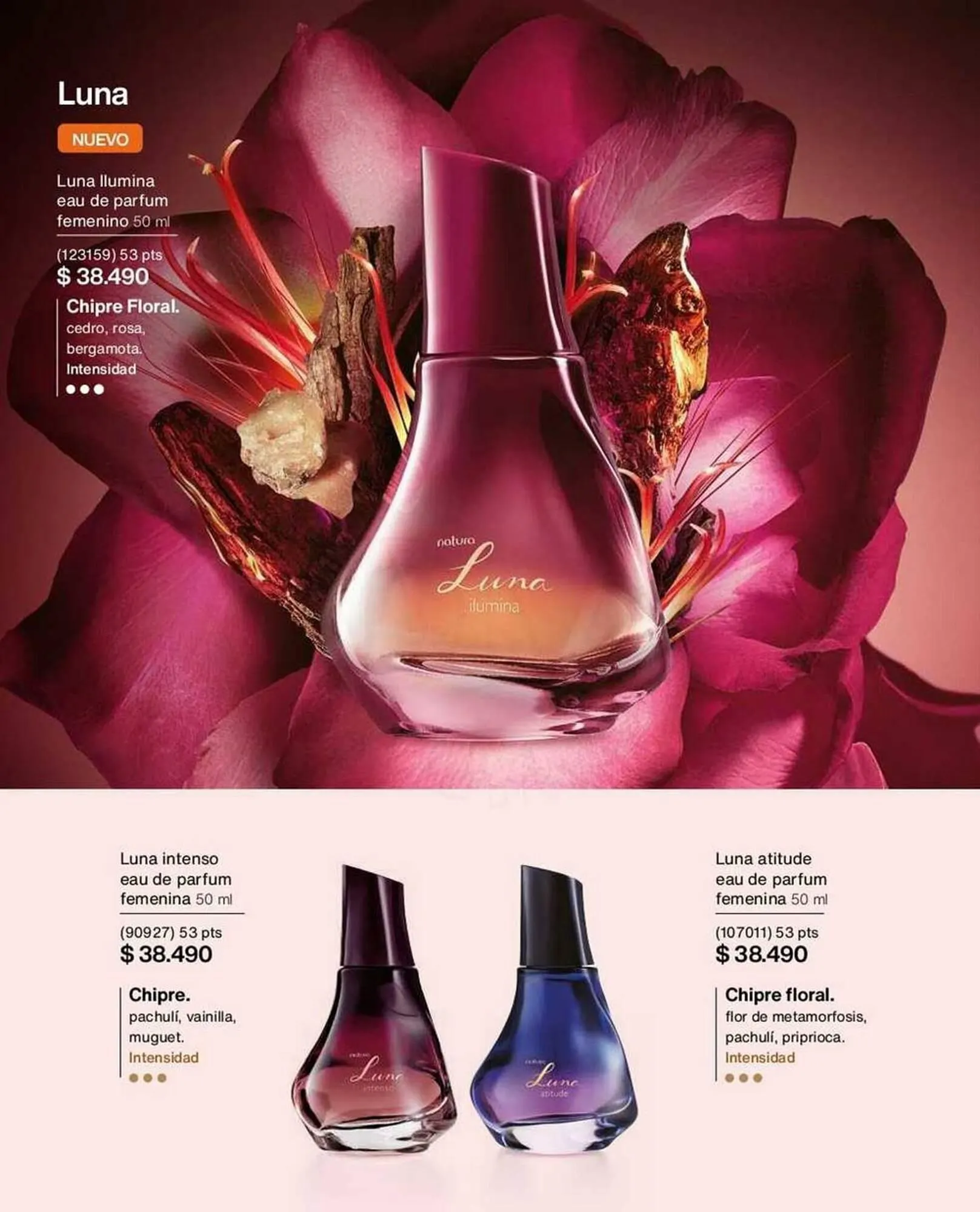 Catálogo de Catálogo Natura 2 de octubre al 31 de octubre 2025 - Página 53