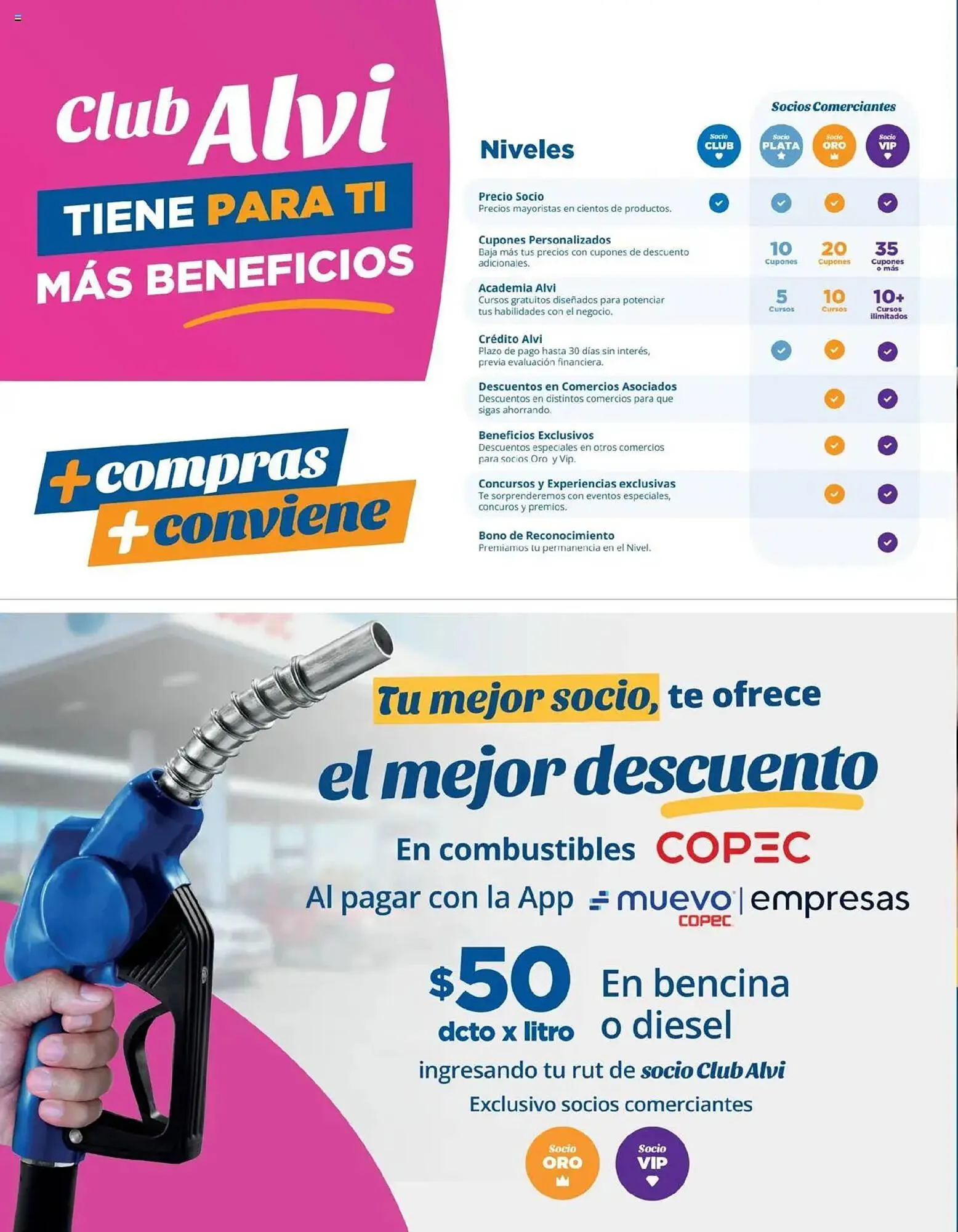 Catálogo de Catálogo Alvi 23 de julio al 27 de agosto 2025 - Página 24