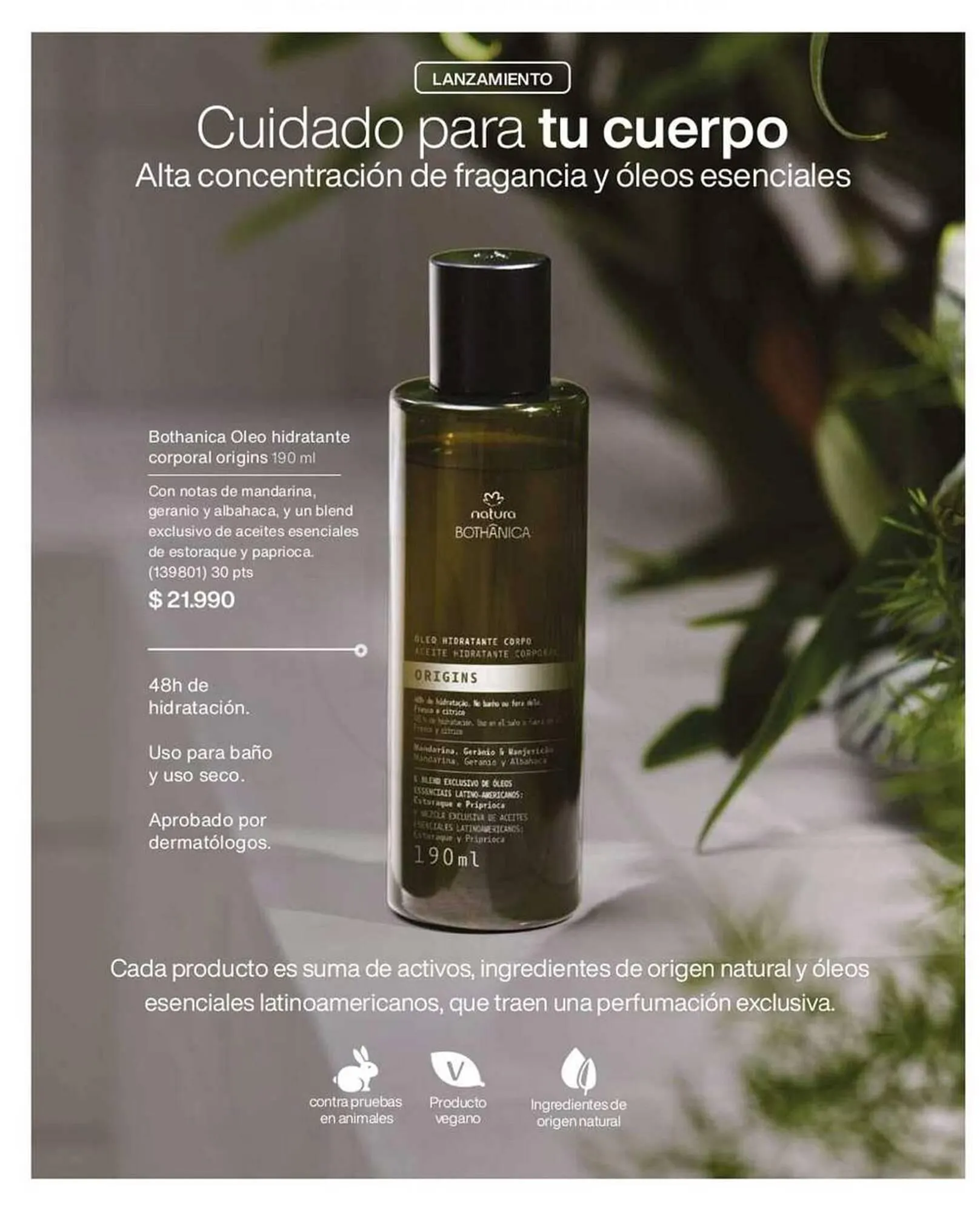 Catálogo de Catálogo Natura 18 de octubre al 1 de noviembre 2025 - Página 41