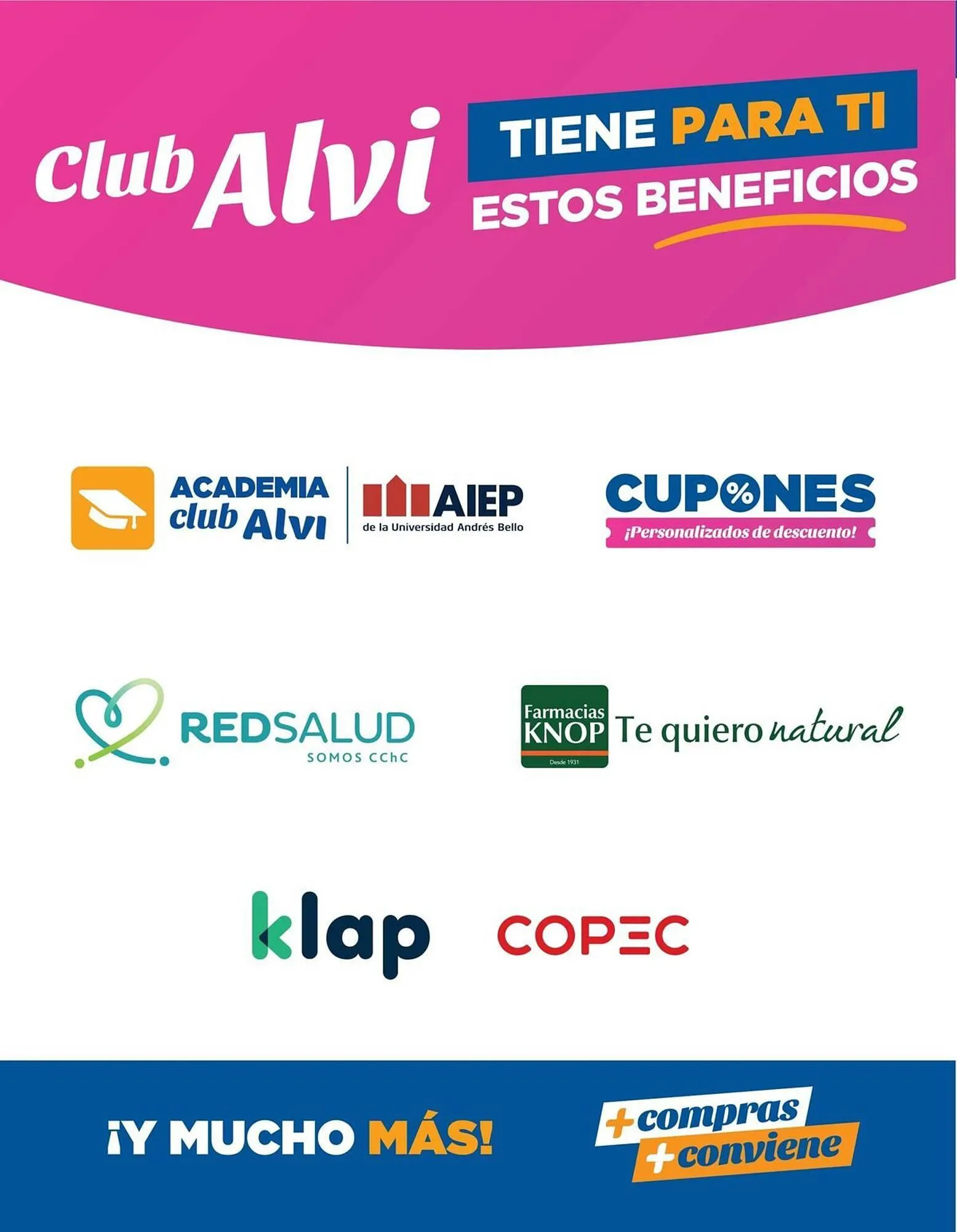 Catálogo de Catálogo Alvi 22 de enero al 5 de febrero 2025 - Página 4